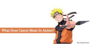 What Does Anime Canon Mean