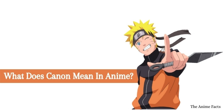 What does canon mean in anime